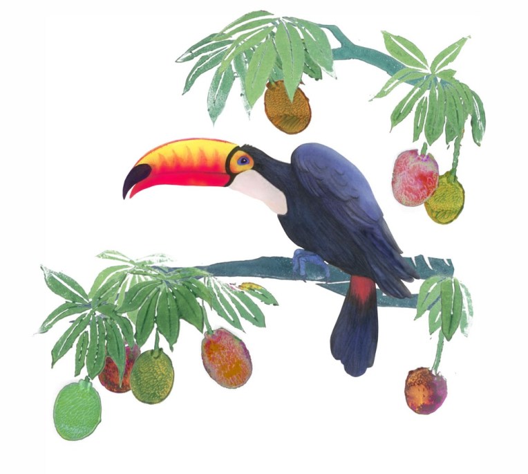 Toucan Branches